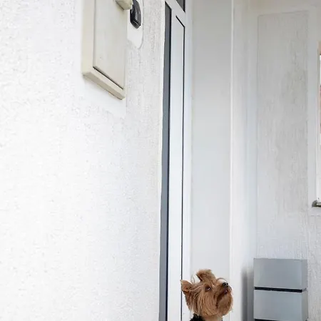 Apartment Vita Риека
