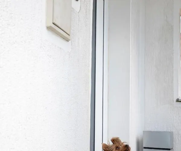 Apartment Vita 里耶卡